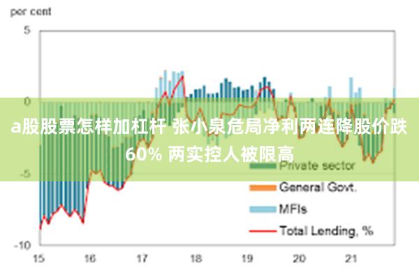 a股股票怎样加杠杆 张小泉危局净利两连降股价跌60% 两实控人被限高