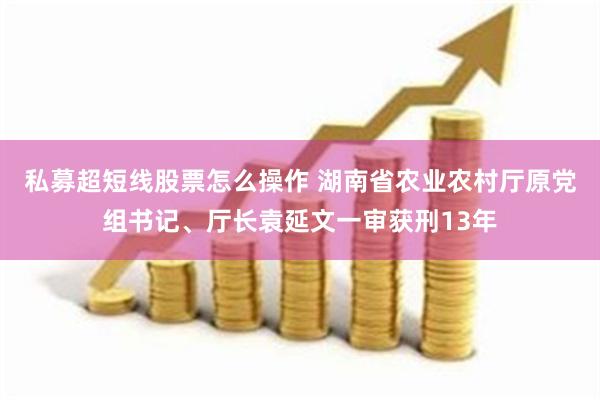 私募超短线股票怎么操作 湖南省农业农村厅原党组书记、厅长袁延文一审获刑13年