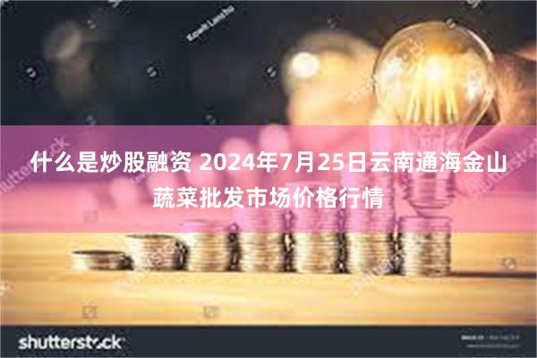 什么是炒股融资 2024年7月25日云南通海金山蔬菜批发市场价格行情