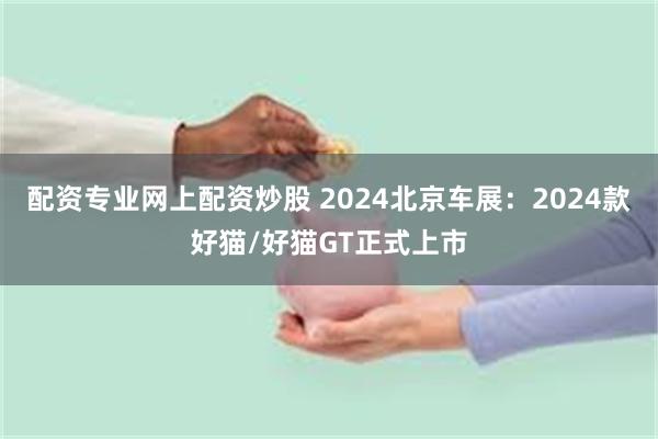 配资专业网上配资炒股 2024北京车展：2024款好猫/好猫GT正式上市