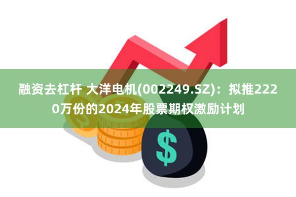 融资去杠杆 大洋电机(002249.SZ)：拟推2220万份的2024年股票期权激励计划