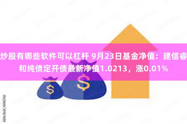 炒股有哪些软件可以杠杆 9月23日基金净值：建信睿和纯债定开债最新净值1.0213，涨0.01%