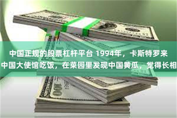 中国正规的股票杠杆平台 1994年，卡斯特罗来中国大使馆吃饭，在菜园里发现中国黄瓜，觉得长相