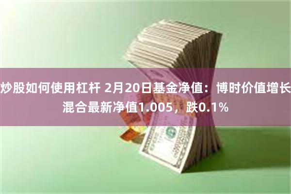 炒股如何使用杠杆 2月20日基金净值：博时价值增长混合最新净值1.005，跌0.1%