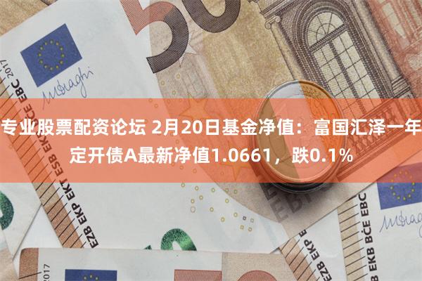 专业股票配资论坛 2月20日基金净值：富国汇泽一年定开债A最新净值1.0661，跌0.1%