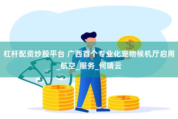 杠杆配资炒股平台 广西首个专业化宠物候机厅启用_航空_服务_何靖云