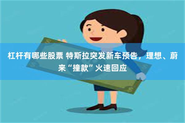 杠杆有哪些股票 特斯拉突发新车预告，理想、蔚来“撞款”火速回应