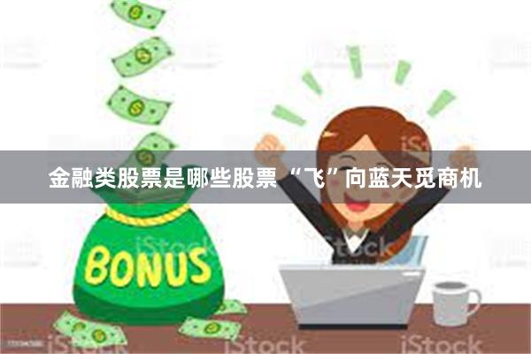 金融类股票是哪些股票 “飞”向蓝天觅商机