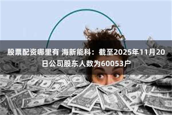股票配资哪里有 海新能科：截至2025年11月20日公司股东人数为60053户