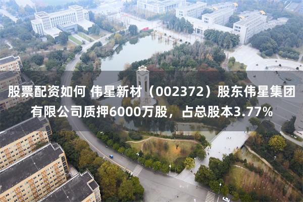 股票配资如何 伟星新材（002372）股东伟星集团有限公司质押6000万股，占总股本3.77%