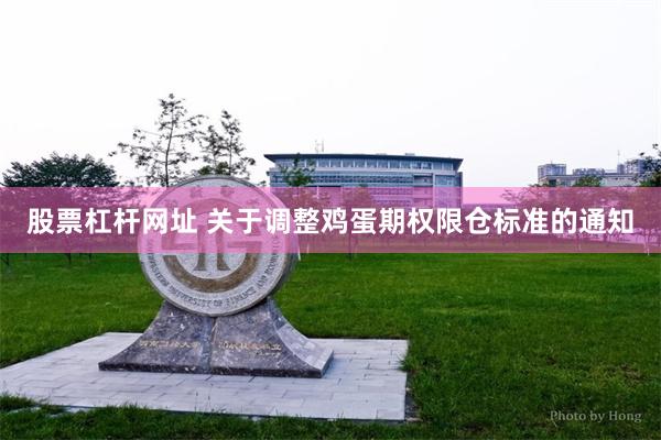 股票杠杆网址 关于调整鸡蛋期权限仓标准的通知